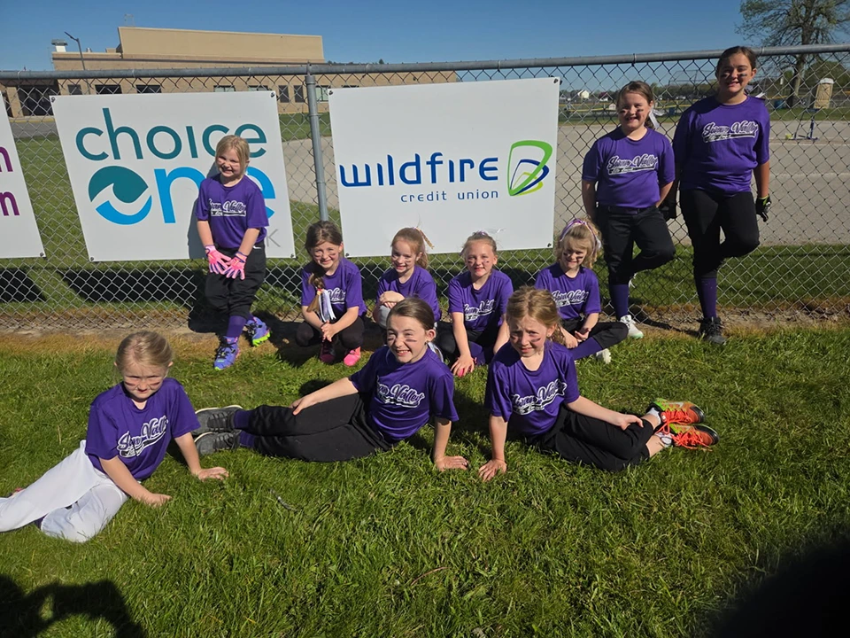 Swan Valley Little League team in front of the Wildfire Credit Union sign.