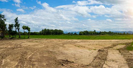 Vacant land with trees in the background under a blue sky.