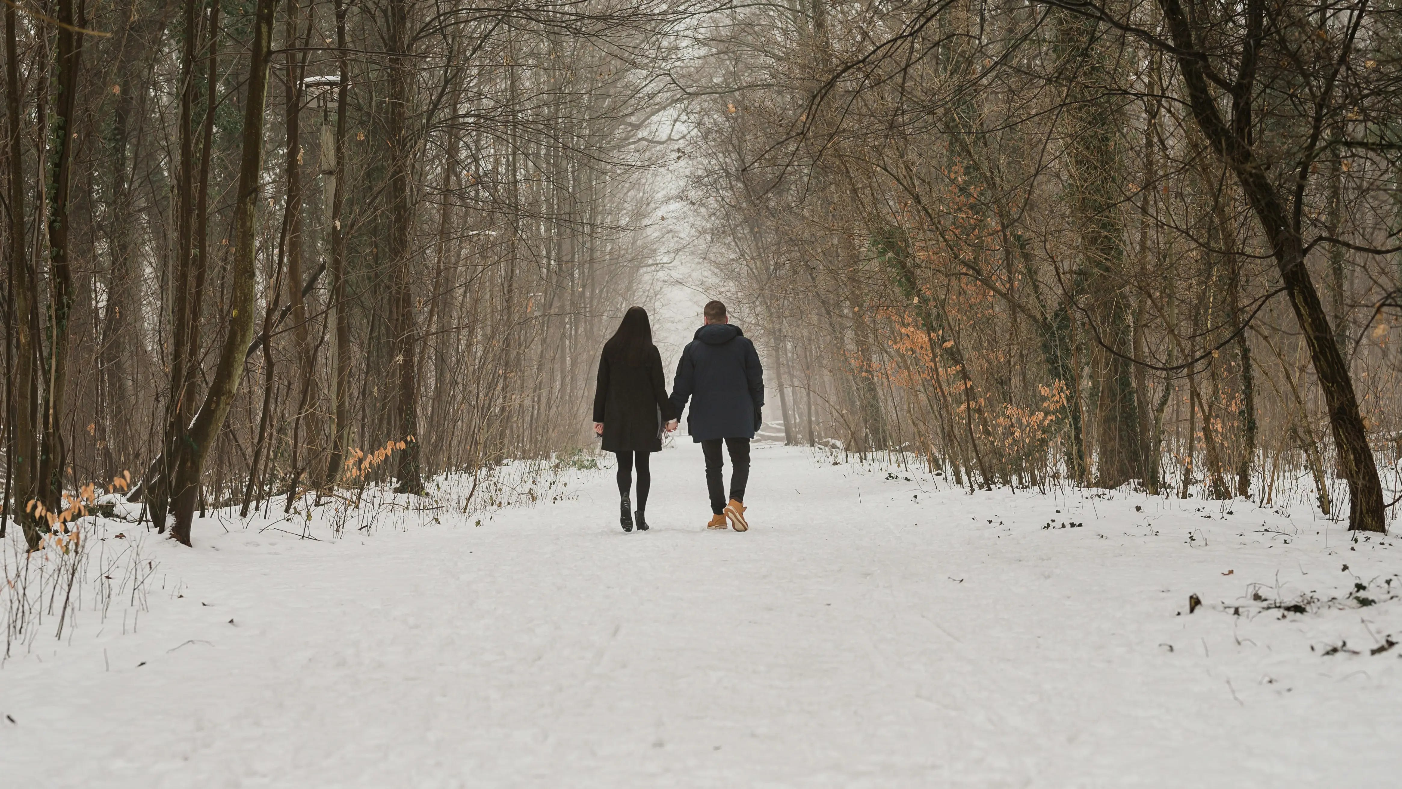 A couple camping in the wilderness with their dog