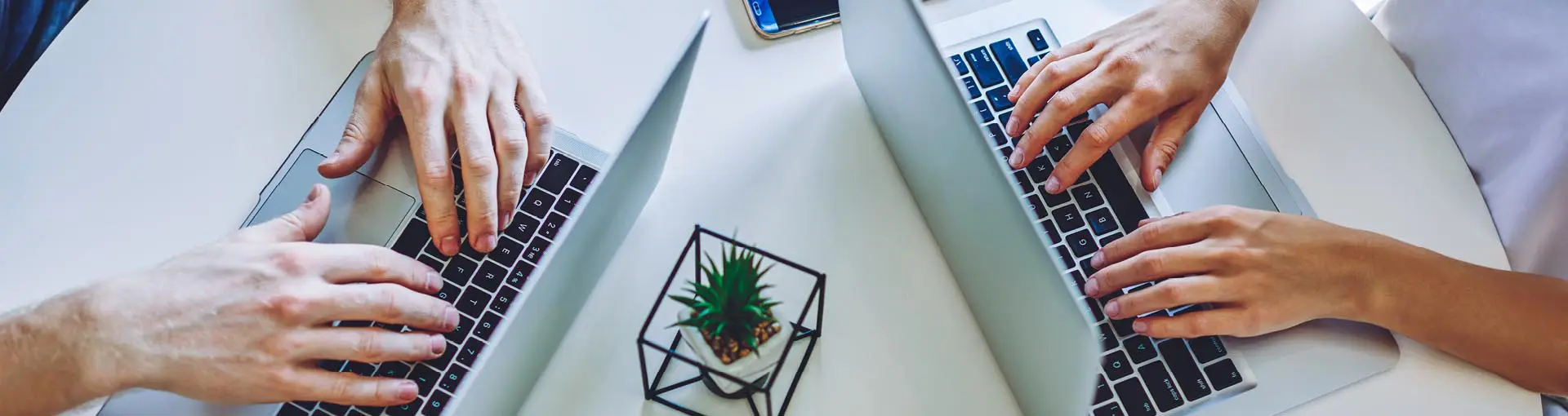 Top view of two people typing on laptops at a white desk with a small potted plant and a phone nearby.